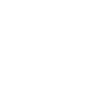 Q&A